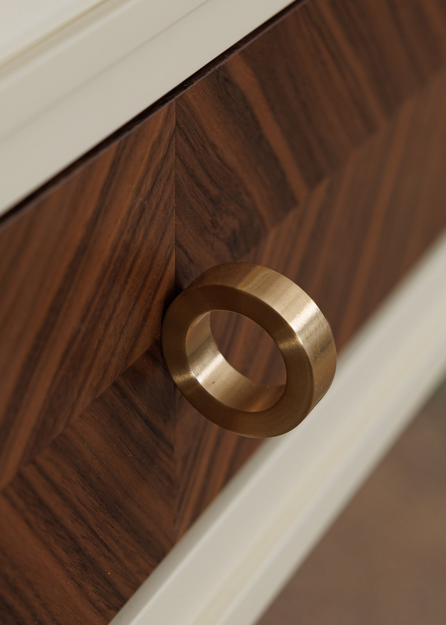 Cabinet handle F020