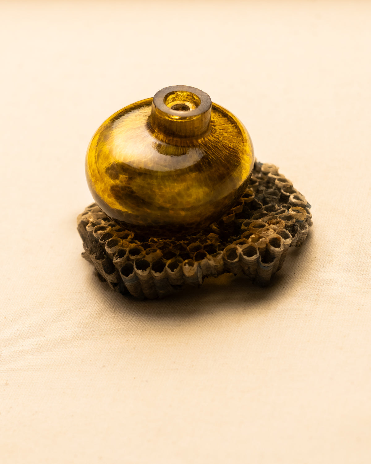 Yantar Knob